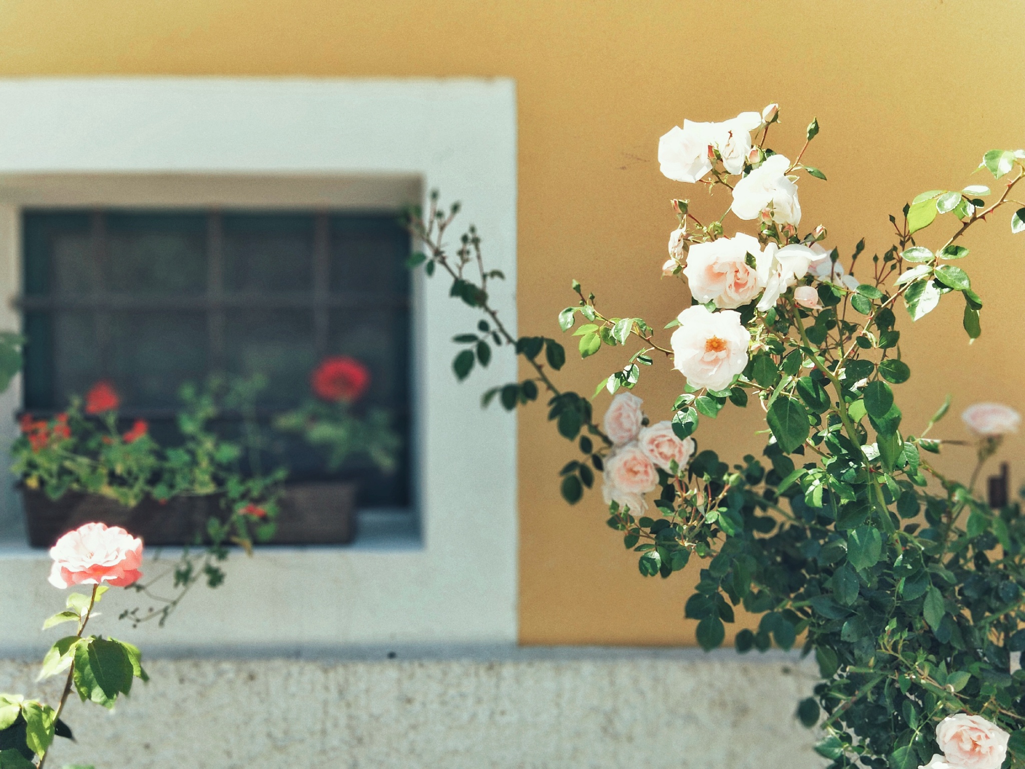 旅游风景手机怎么拍出高级感,旅游产品如何打造爆品
