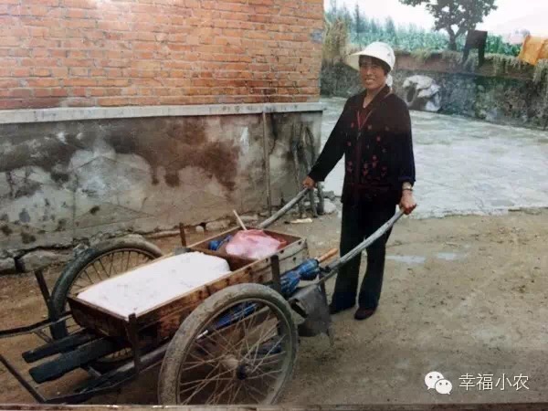 丹东日本豆腐,丹东水豆腐哪家好吃