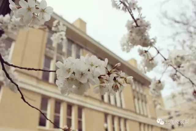俄亥俄州立大学：全美最大的公立常青藤学府