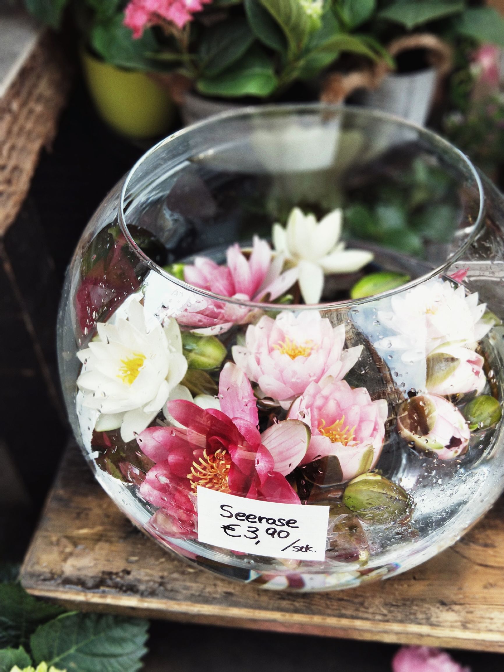 旅游风景手机怎么拍出高级感,旅游产品如何打造爆品