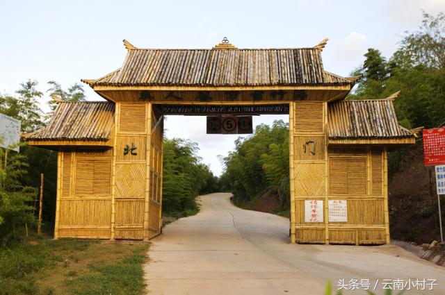 云南玉溪峨山彝人谷万亩竹海竹炭,彝人谷竹海攻略