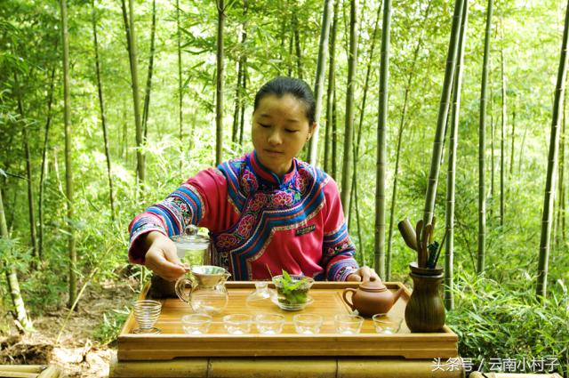 云南玉溪峨山彝人谷万亩竹海竹炭,彝人谷竹海攻略