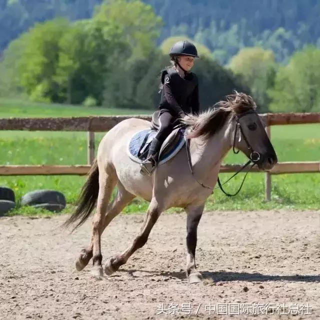 迪拜奢华之旅,阿联酋奢侈品