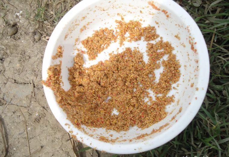 喜中大板鲫,餐条特别多如何钓鲫鱼