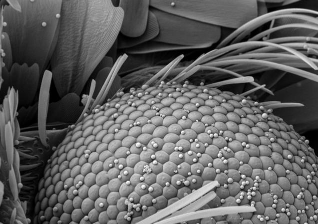 这种新型涂料，让手机屏幕和“诡异的反光”说再见