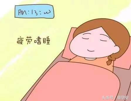 怀孕早期吃什么水果可以缓解便秘,怀孕初期不适症状