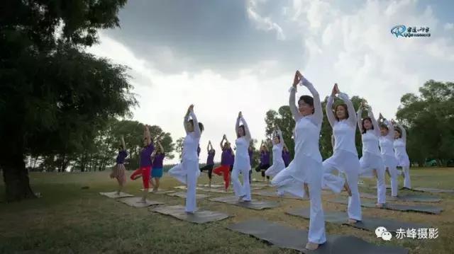 我爱夏日长深度解析,我爱夏日长在线观看