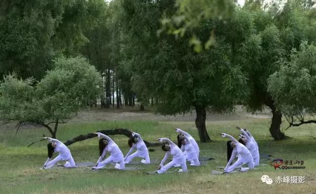 我爱夏日长深度解析,我爱夏日长在线观看