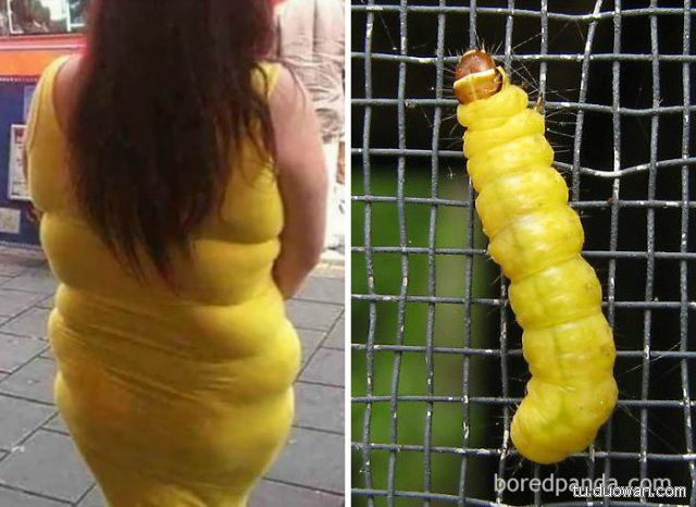 无良商家宣传图片,无良商家发的货与实物不符