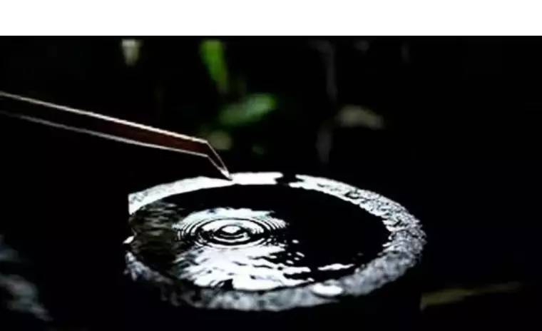 惊鹿｜竹·禅惊鹿