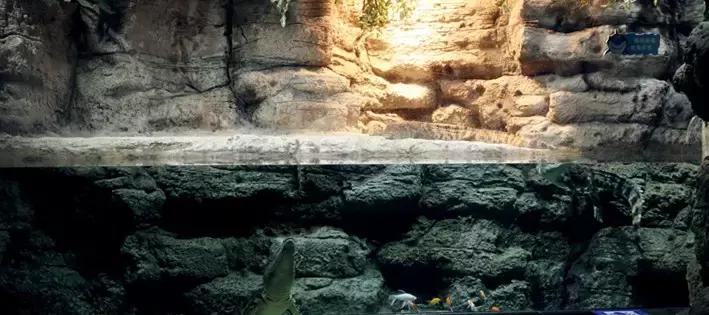 海有夜游别怪我没提醒你，购买夜票你能看到不一样的精彩！