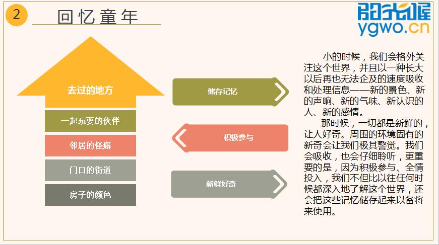 童眼观世界书籍全套,提升孩子观察力的兴趣课