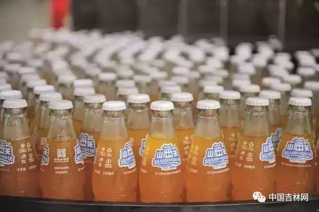 全国各省最好喝的当地汽水,东北地道的老汽水