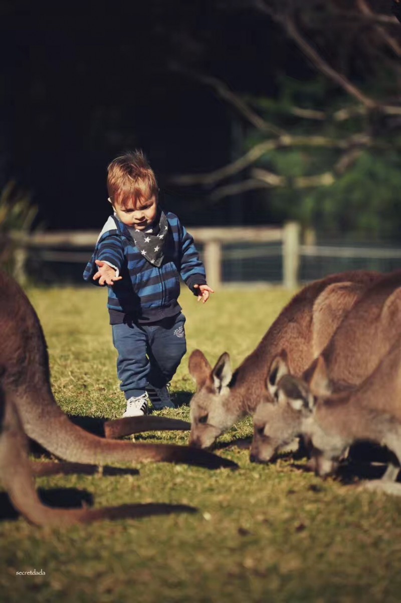 老法师的天堂！从拍照小白到摄影大V，你只差一个悉尼的距离