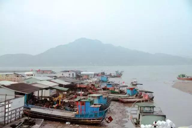 可溯金融的钱还能要回来吗,可溯金融会还钱吗