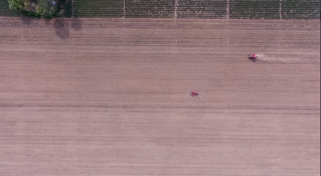 丹东日本豆腐,丹东水豆腐哪家好吃