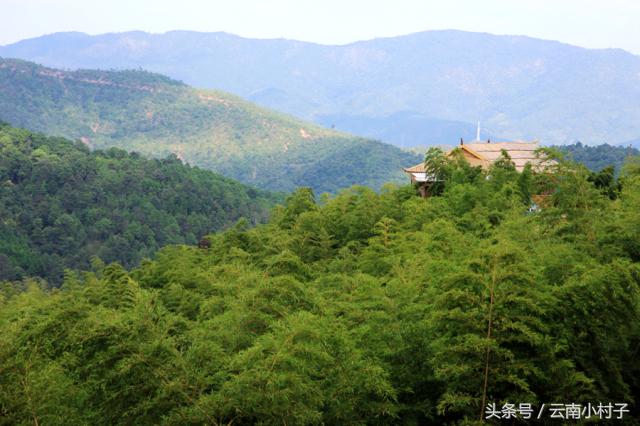 云南玉溪峨山彝人谷万亩竹海竹炭,彝人谷竹海攻略