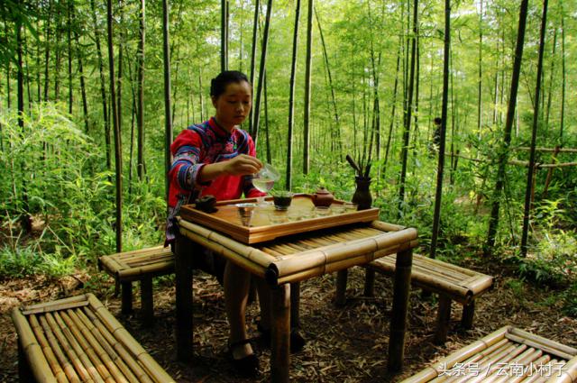 云南玉溪峨山彝人谷万亩竹海竹炭,彝人谷竹海攻略