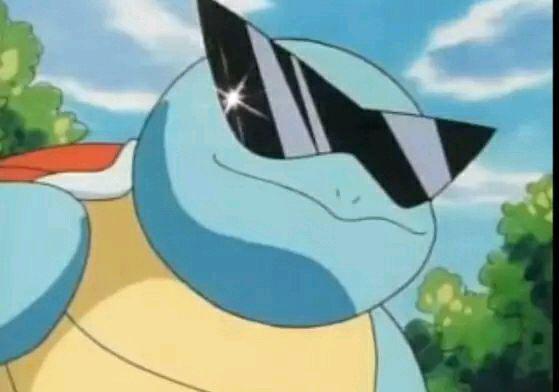 宠物小精灵小智手中最强10只精灵,宠物小精灵之精灵培育