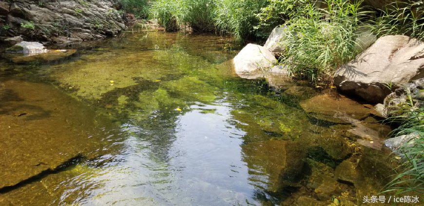 华为手环6pro防水测评,华为手环6pro防水性能怎么样