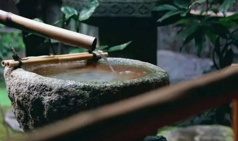 惊鹿｜竹·禅惊鹿