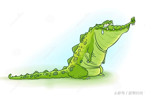 爱马仕鳄鱼皮包用的什么鳄鱼皮,喜马拉雅白鳄鱼皮包爱马仕