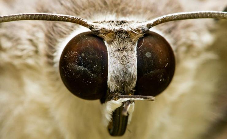 这种新型涂料，让手机屏幕和“诡异的反光”说再见