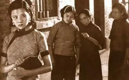 野草闲花逢春生完整版,野草闲花逢春生背后的故事