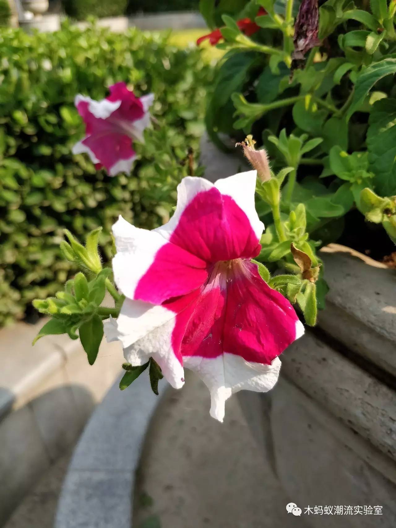 一加5使用的真实感受,一加5评测耳机孔