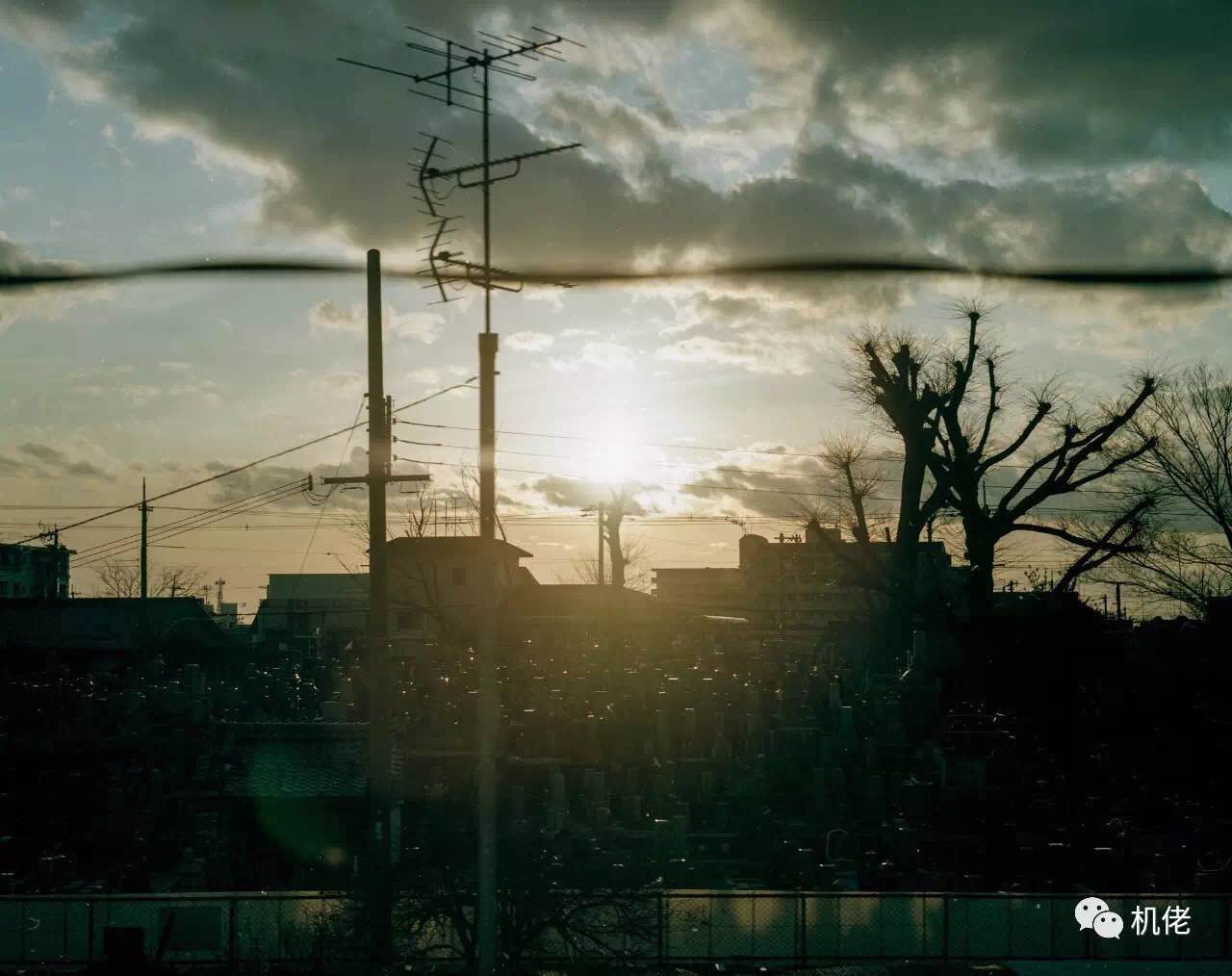 宾得67ii黑白人像,宾得67拍摄效果