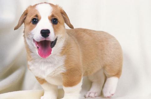 遥远的不是距离而是次元,看动漫的和不看动漫的都沉默了