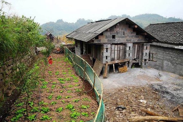 真实的云南农村,云南农村生活真实记录