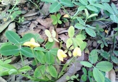 杭州人看看怎么样花最少的钱清理血管，看懂了可以教身边的人