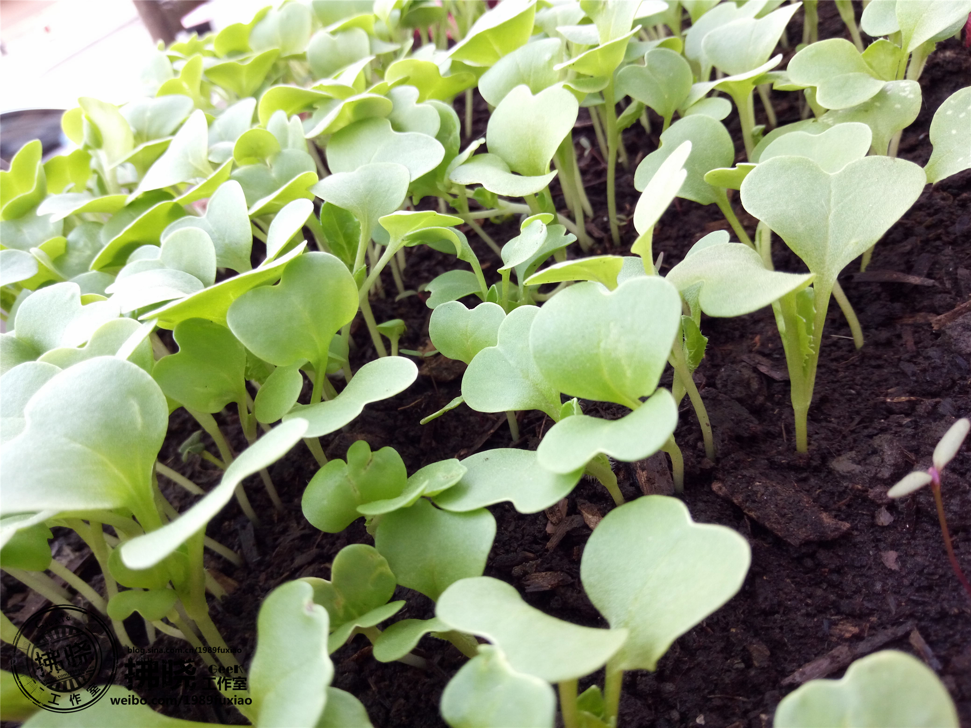 oppor7测评,oppor7音质怎么样