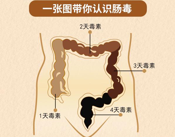 带你认识什么是偏微分方程,带你认识什么是plc