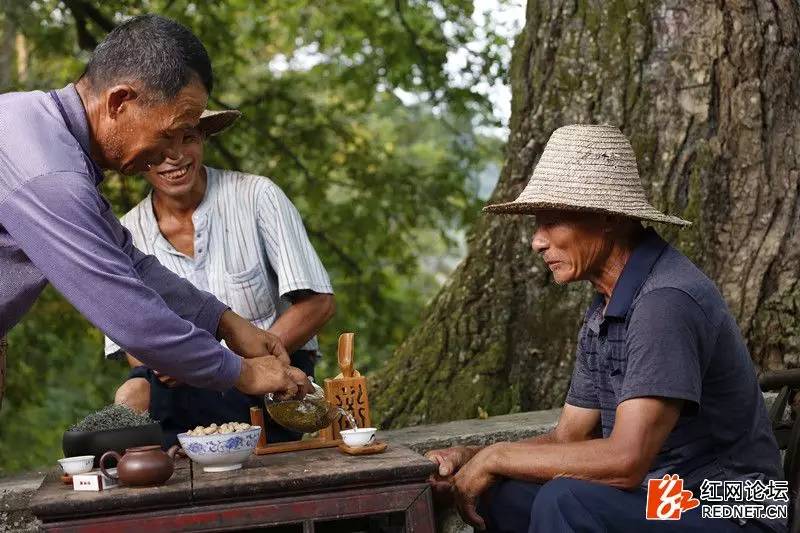 传说中的世外桃源：走进千年土家长寿村