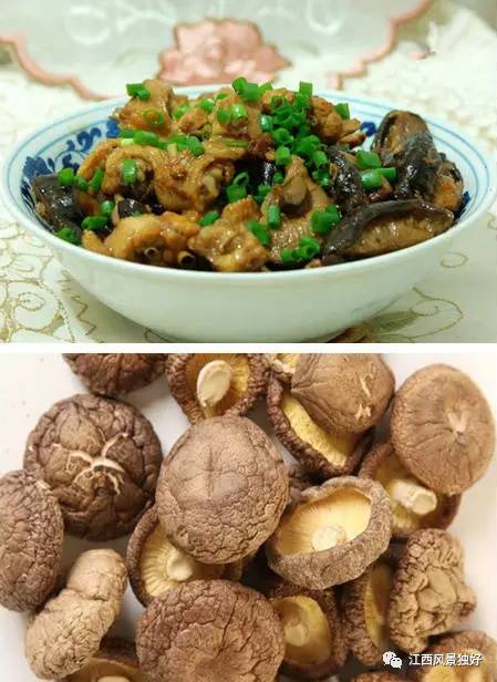 江西奉新周边旅游景点有哪些,走遍江西100县崇义县