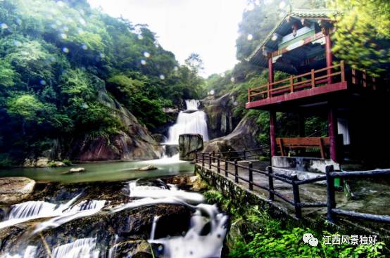 江西奉新周边旅游景点有哪些,走遍江西100县崇义县