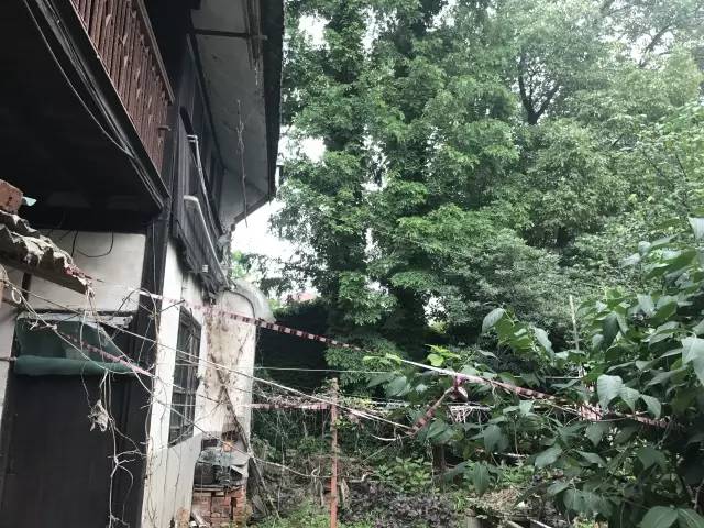 周浦沈庄老街,周浦镇老街还有吗