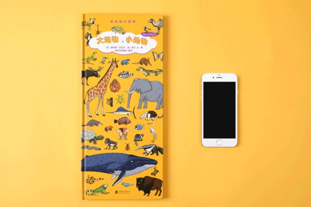 阅读陪伴孩子探索奇妙世界,陪伴孩子暑假愉快的周末时光