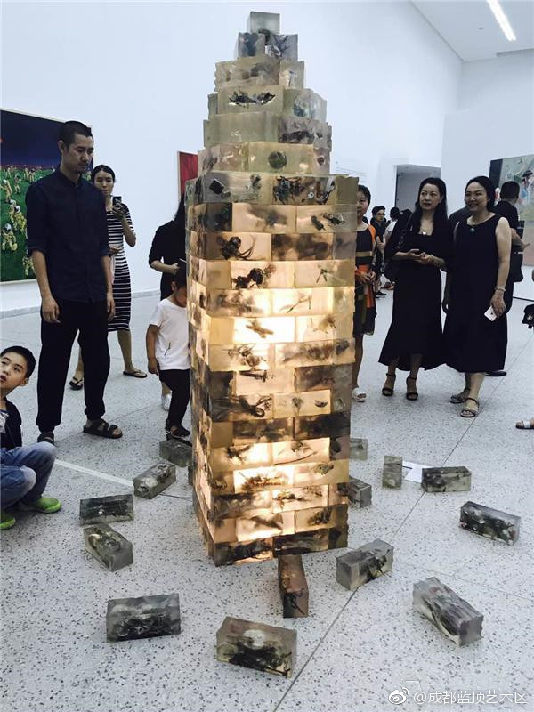 下雨天看展,下雨天成都杜甫草堂