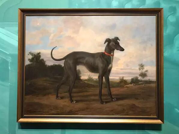 下雨天看展,下雨天成都杜甫草堂