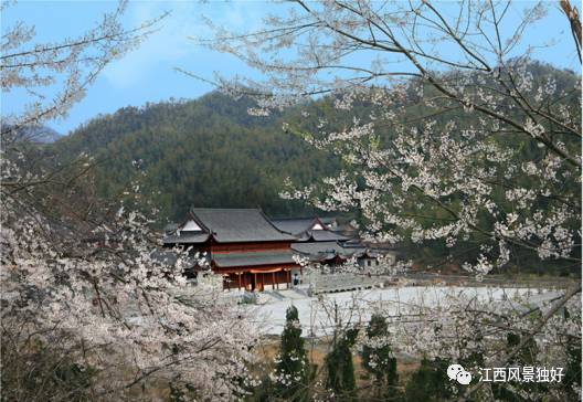 江西奉新周边旅游景点有哪些,走遍江西100县崇义县