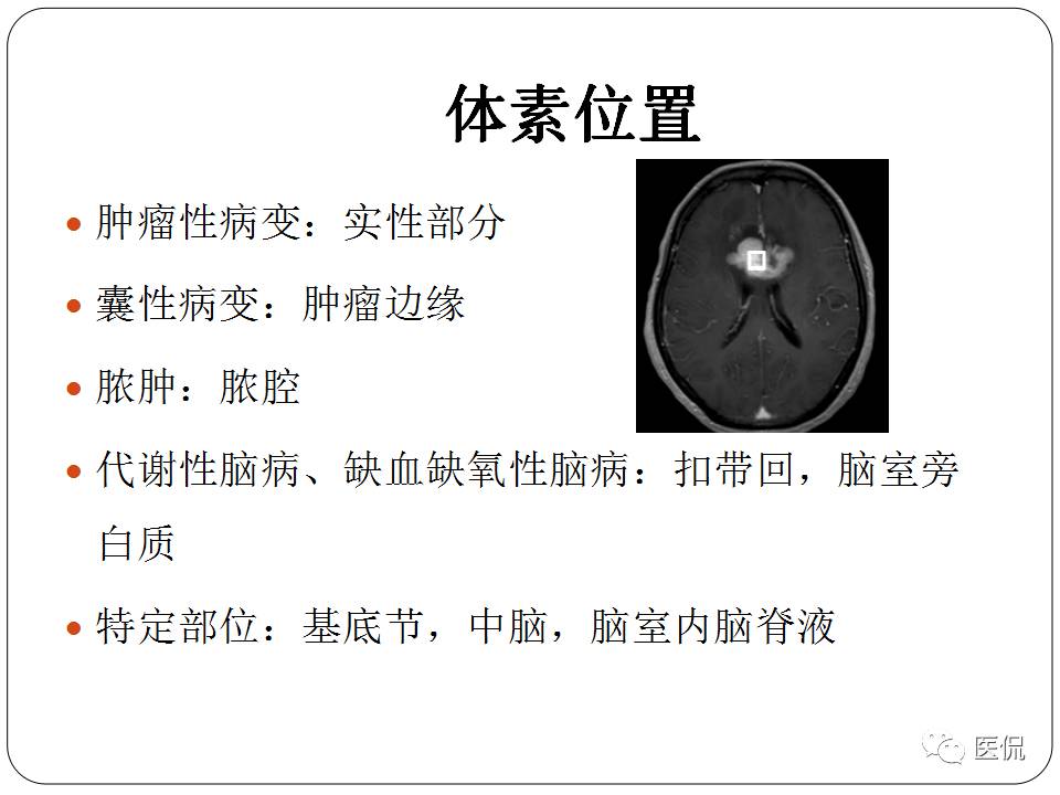 神经系统解剖ppt课件,神经内科课件ppt