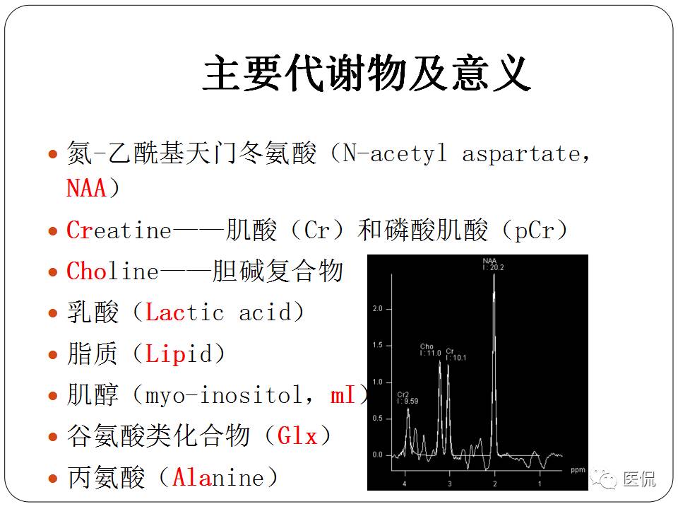 神经系统解剖ppt课件,神经内科课件ppt