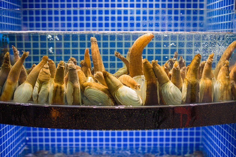 100元吃海鲜自助！不限量！敞开吃！红虾三文鱼象拔蚌银鳕鱼……我要把武林路这家海鲜渔市吃到空！