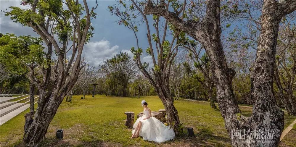 三亚旅拍摄影师约拍视频,海口约旅拍摄影师