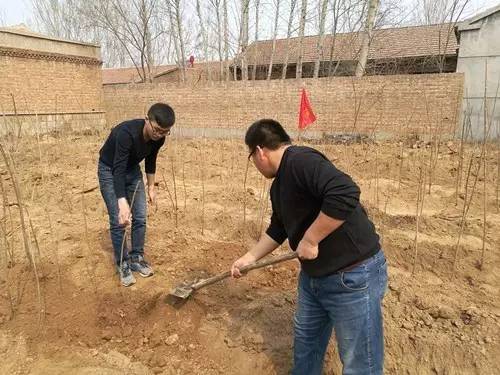 山东德州大学生村官,乡村振兴致富带头人牛哥个人简介