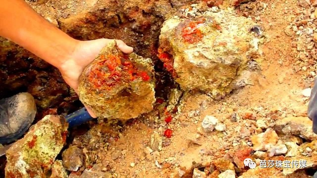 欧泊失去光彩了什么样,欧泊家族