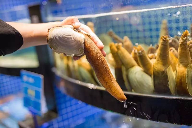 100元吃海鲜自助！不限量！敞开吃！红虾三文鱼象拔蚌银鳕鱼……我要把武林路这家海鲜渔市吃到空！